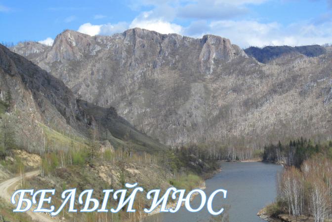 015 Белый Июс